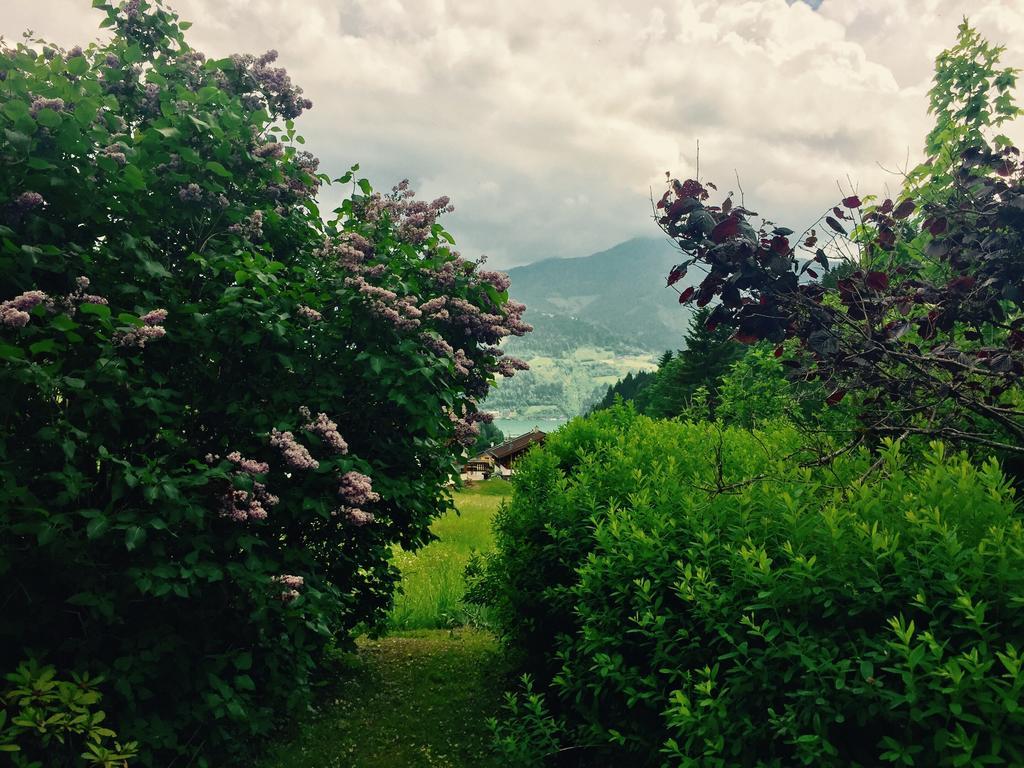 Landhaus Marlies Apartments Zell am See Esterno foto